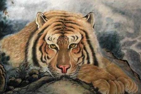 2022年属什么生肖 属虎的人运势细致解析 图片15
