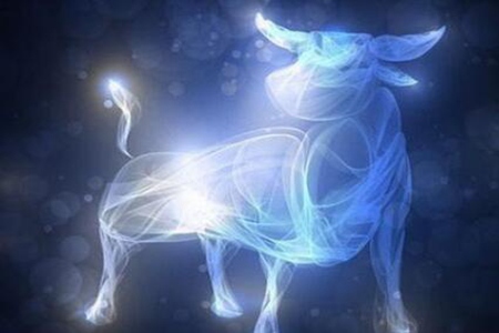 金牛座的死对头是什么星座 这四个星座天生金牛死对头 图片21