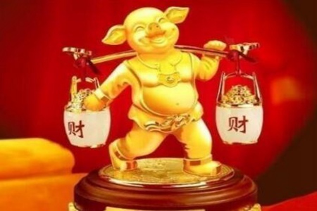 95年属什么的 属猪的人一生事业财运运势 图片13