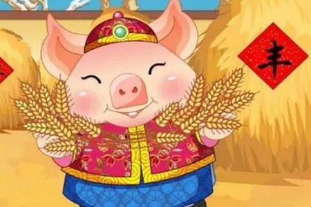95年属什么的 属猪的人一生事业财运运势 图片15