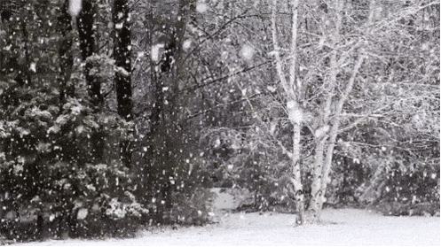 出生在「冬季」会对我们的命运有哪些影响? 图片18 出生在「冬季」会对我们的命运有哪些影响? 图片17