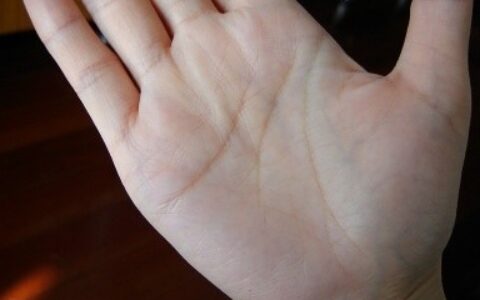 为什么说生命线是生命力的象征？