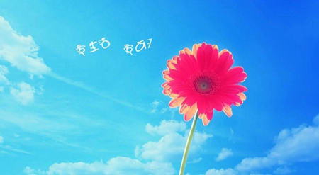狮子座最疼哪个星座?他的爱有多持久 图片6 狮子座最疼哪个星座?他的爱有多持久 图片5
