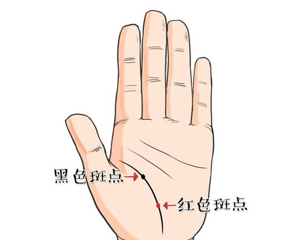 生命线特征提醒你留意身体健康 图片6 生命线特征提醒你留意身体健康 图片5