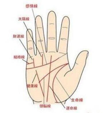 教你看成功线、婚姻线与感情线的关系 图片7
