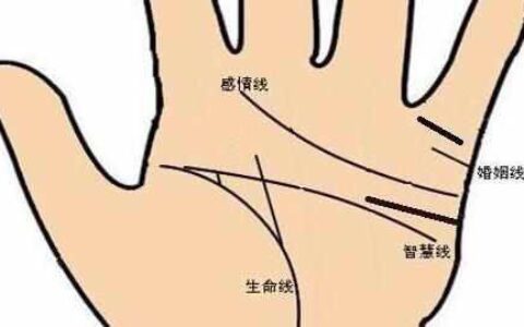 教你看成功线、婚姻线与感情线的关系