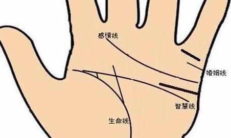 教你看成功线、婚姻线与感情线的关系 图片9