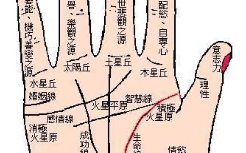 啥手相的女人不缺钱