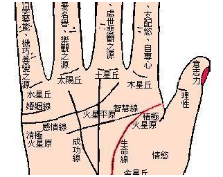 啥手相的女人不缺钱 图片1