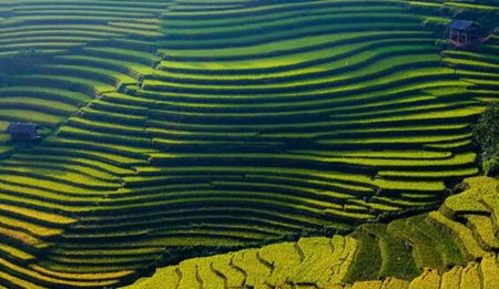 达官贵人都要讲究的“风水”之道，别不信！ 图片7