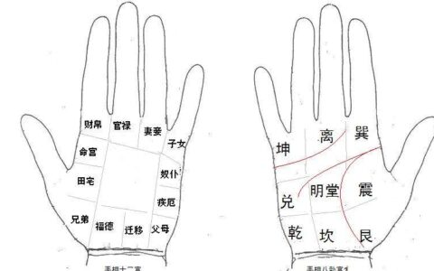 看手相是不是一定男左女右