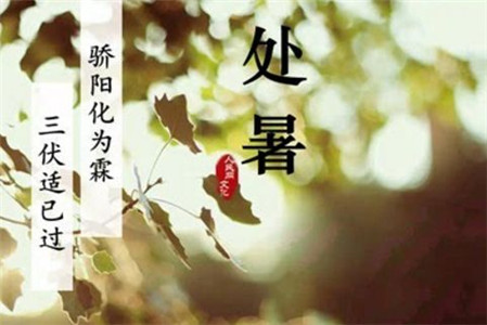处暑之后福泽绵长的三大生肖 图片3