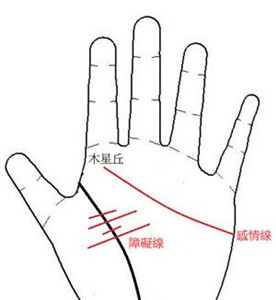 从手相解析你能否享子女福 图片6 从手相解析你能否享子女福 图片5