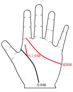 从手相解析你能否享子女福 图片10 从手相解析你能否享子女福 图片9