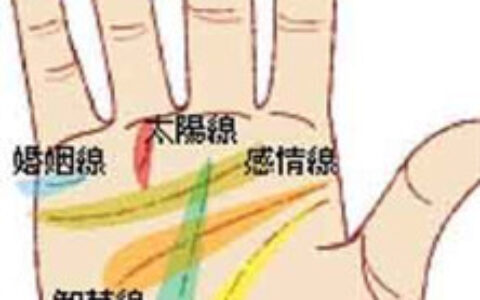 手相五条主线教你看一生运势