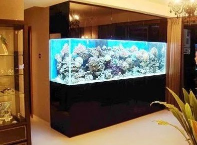养鱼鱼缸的风水选择 图片1