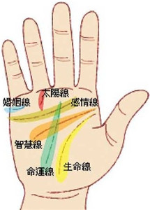 手相：怎么看成功线 图片7