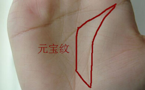 手相元宝纹表示生活很富有吗