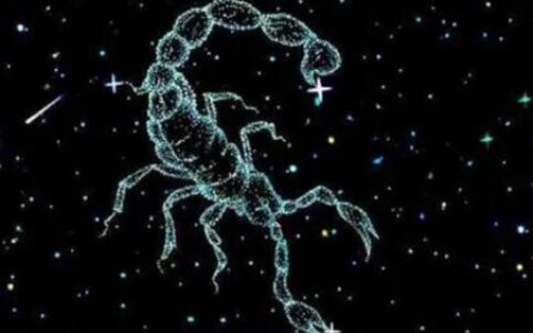 10月25日是什么星座？天蝎男2022年运势详解