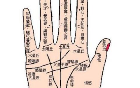 生命线的粗细深浅到底代表着什么