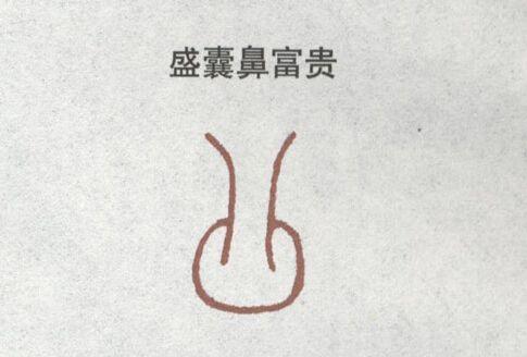五种发财鼻，一生横财不断 图片3