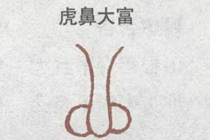 五种发财鼻，一生横财不断 图片5
