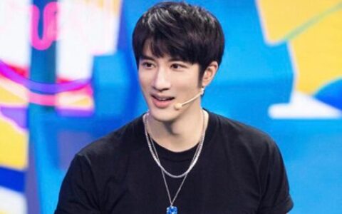 王力宏的八字命理分析，他的事业与婚姻会如何？