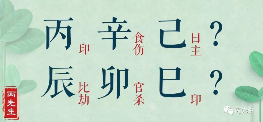 范玮琪的八字解读，低情商是天生的还是博眼球 图片37