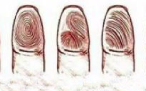 你绝对不知道的五大指纹秘密