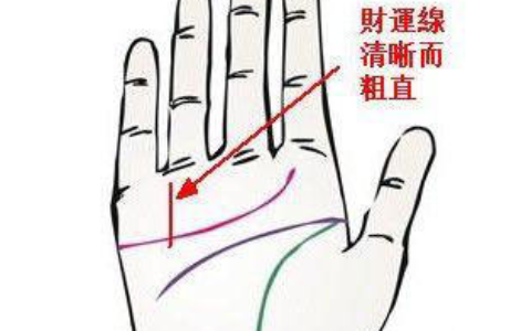 哪些手相特征最能招财