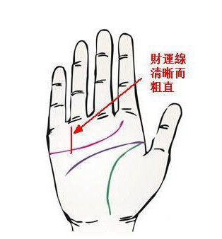 哪些手相特征最能招财 图片1