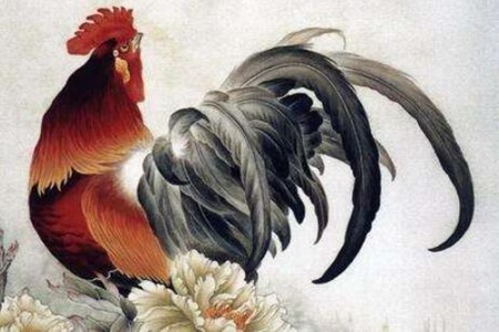 属鸡的今年多少岁?2022年生肖鸡事业感情运势 图片14 属鸡的今年多少岁?2022年生肖鸡事业感情运势 图片13
