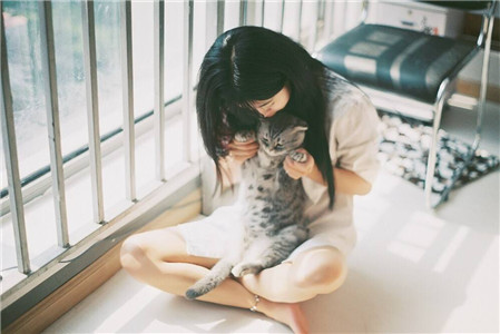 天生爱当铲屎官的生肖 图片1