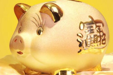 属猪的今年多大？2022年生肖猪事业感情运势 图片13