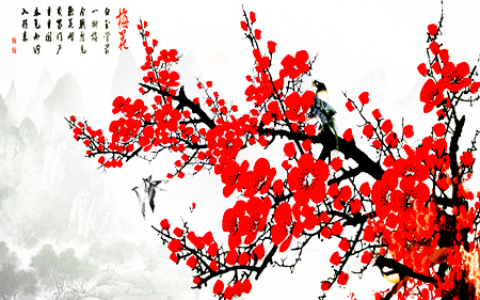 梅花可以往家里挂吗？