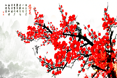 梅花可以往家里挂吗？ 图片1