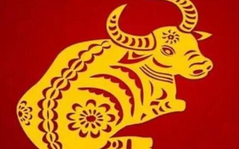 属牛的今年多大？2022年生肖牛事业感情运势