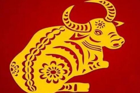 属牛的今年多大？2022年生肖牛事业感情运势 图片17