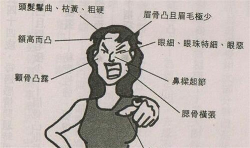 教你如何看面相认识人 图片9
