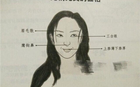 教你如何看面相认识人
