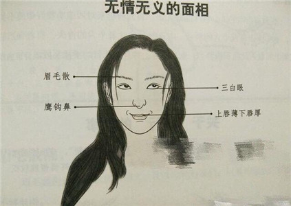 教你如何看面相认识人 图片11