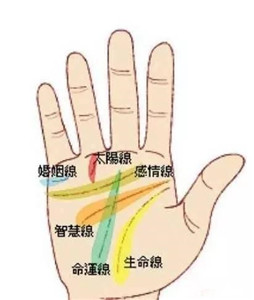 注定事业有成的手相 图片4 注定事业有成的手相 图片3