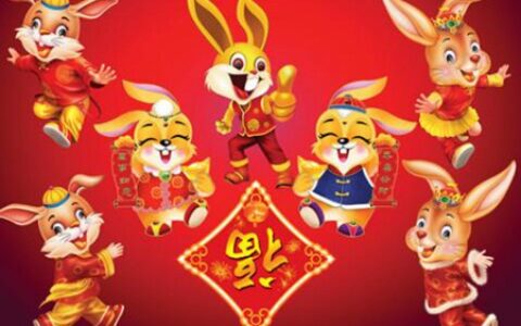 属兔的几月出生最好命？这三个月份出生的男生命理带财