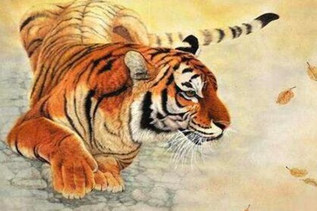 属虎的今年多少岁?2022年生肖虎事业感情运势 图片18 属虎的今年多少岁?2022年生肖虎事业感情运势 图片17