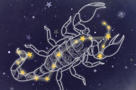 11月1日是什么星座?天蝎座有野心有手段解析 图片16 11月1日是什么星座?天蝎座有野心有手段解析 图片15