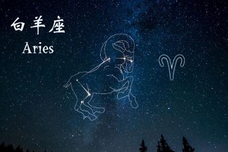 白羊座和什么座最配？这四个星座搭配彼此相互吸引 图片13
