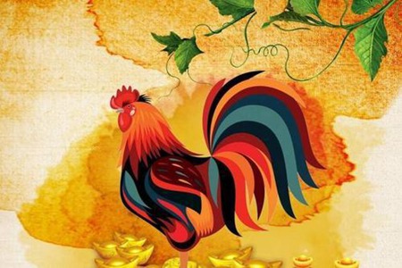 属鸡的几月出生最好？三个月生的属鸡男运气吉多凶少 图片17
