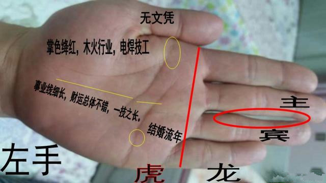 从手相看你运势如何 图片3