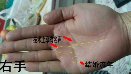 从手相看你运势如何 图片5