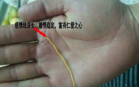 从手相看你运势如何